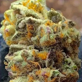 Banana Jellyz > Zmoothiez